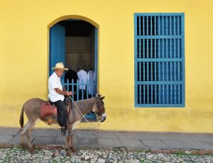 Trinidad - man with cigar on donkey - Cuba