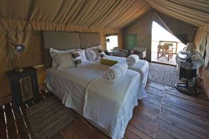 TLC Etosha - Eagle Tented Lodge 9