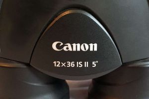 Canon Bins detail