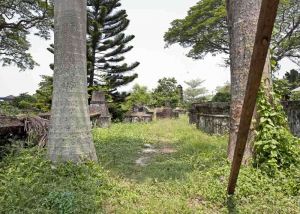 TLC Cochin - Dutch cemetery