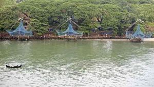 TLC Cochin - waterfront 4
