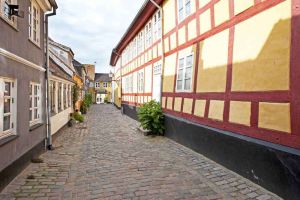 TLC Aalborg old town 17