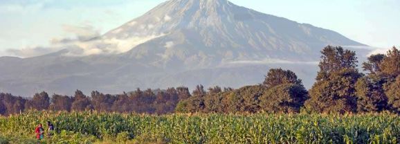 Arusha – Tanzania’s coffee gateway to the wild